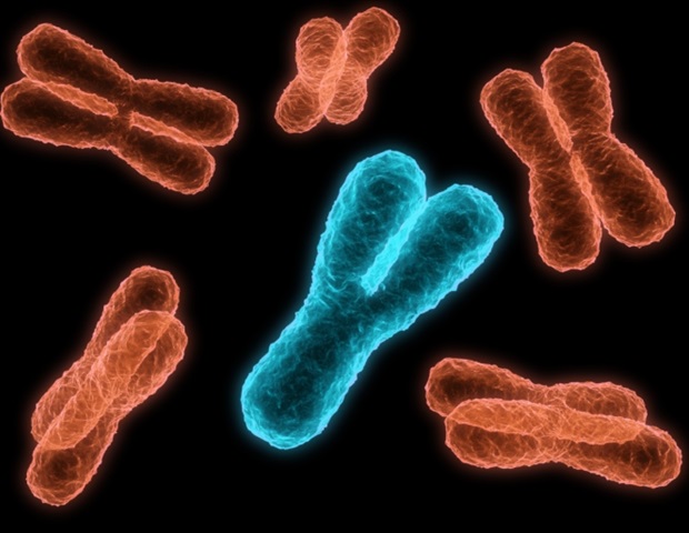 Y chromosome loss creates hidden cancer vulnerability in men