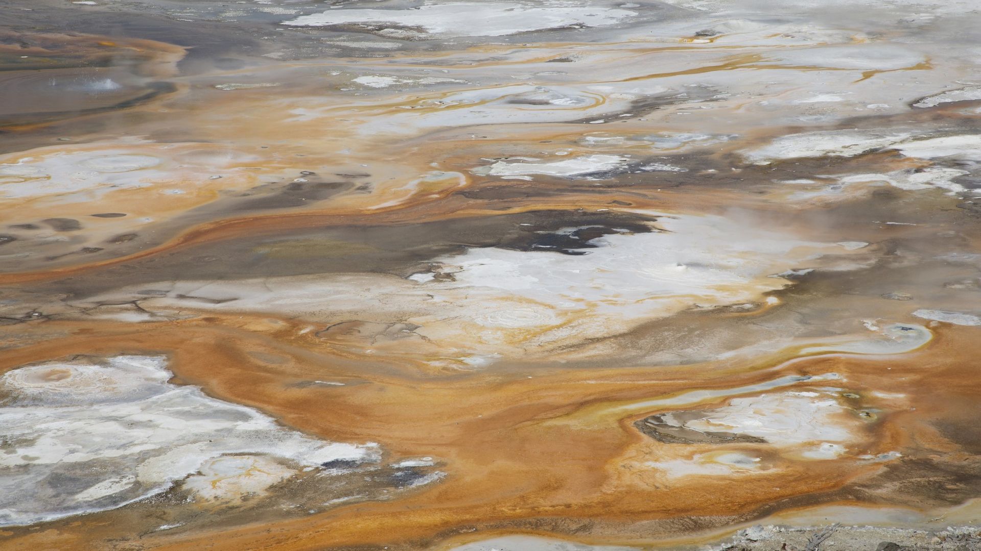 Scientists identify ‘sweet spot’ for early stage of life on Earth that preceded LUCA, the ancestor of all living things