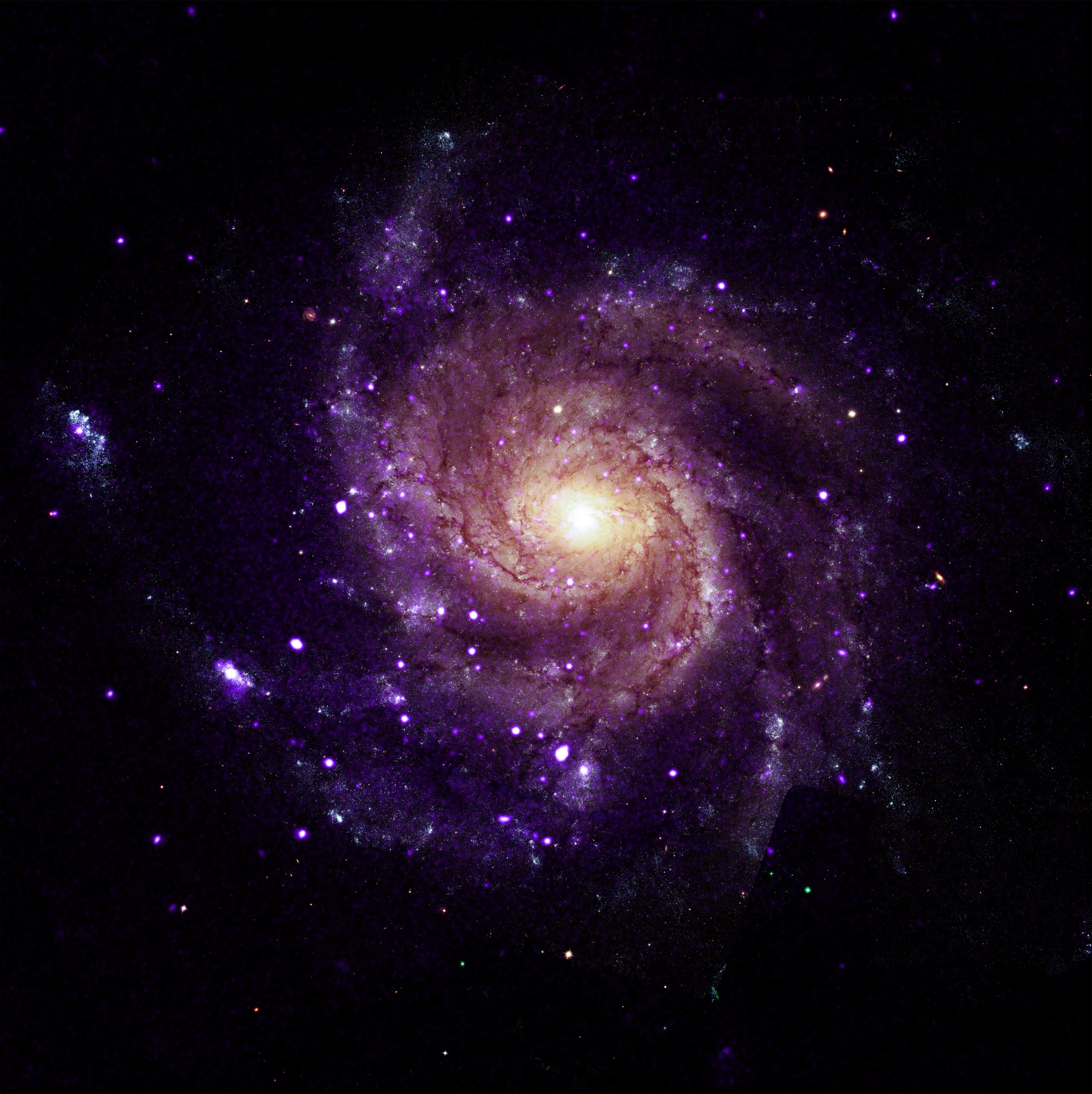 NASA’s Chandra Finds Unusual Objects in Pinwheel Galaxy