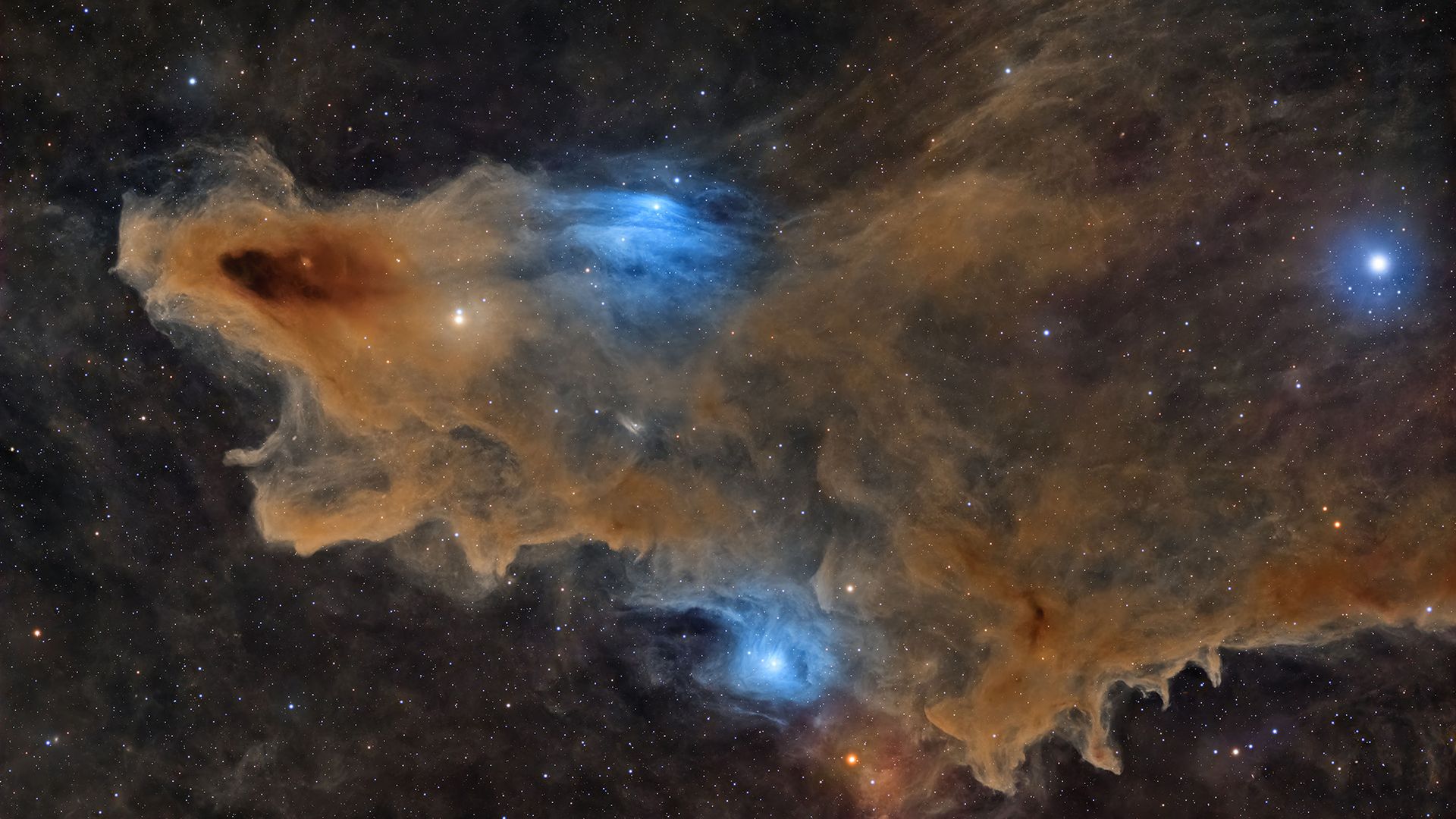 Space ‘shark’ takes top prize at ZWO Astronomy Photographer of the Year contest