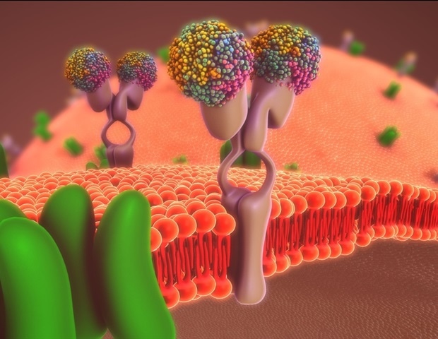 Tapping the power of cryo-ET to visualize how molecular machines interact inside cells