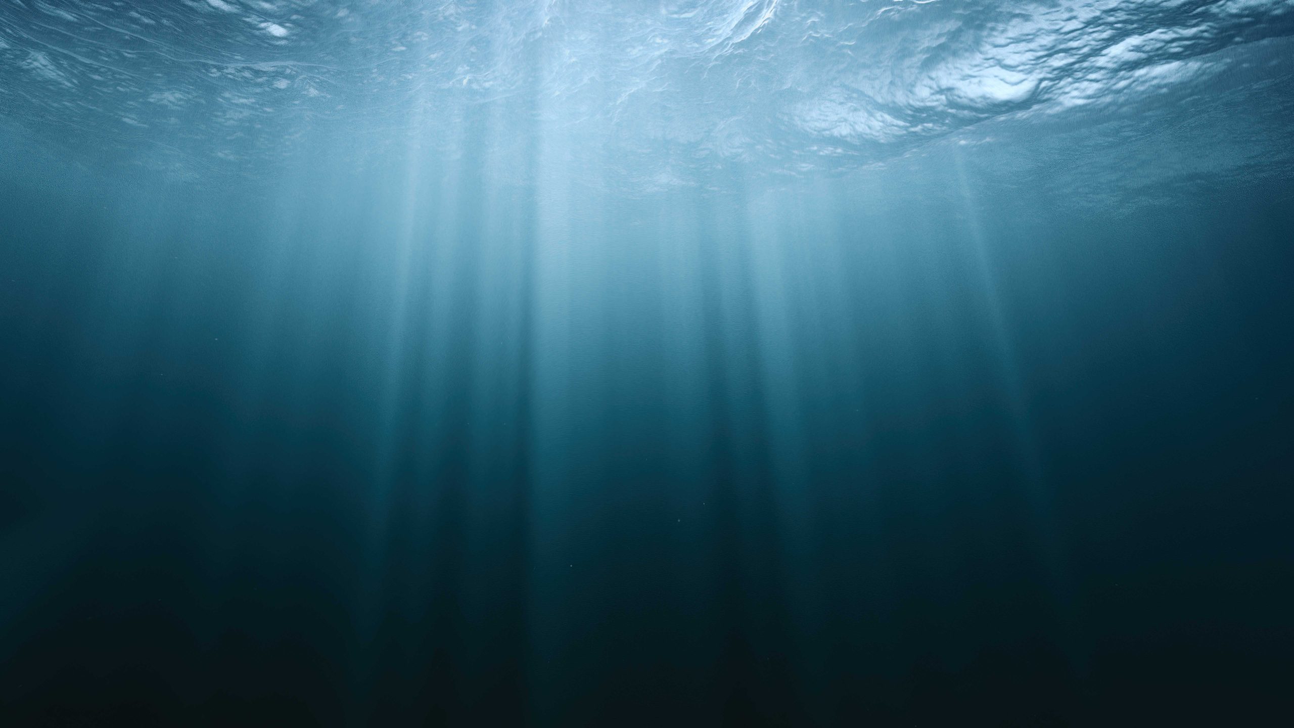 meta-floats-project-to-lay-first-petabit-submarine-fiberoptic-cable