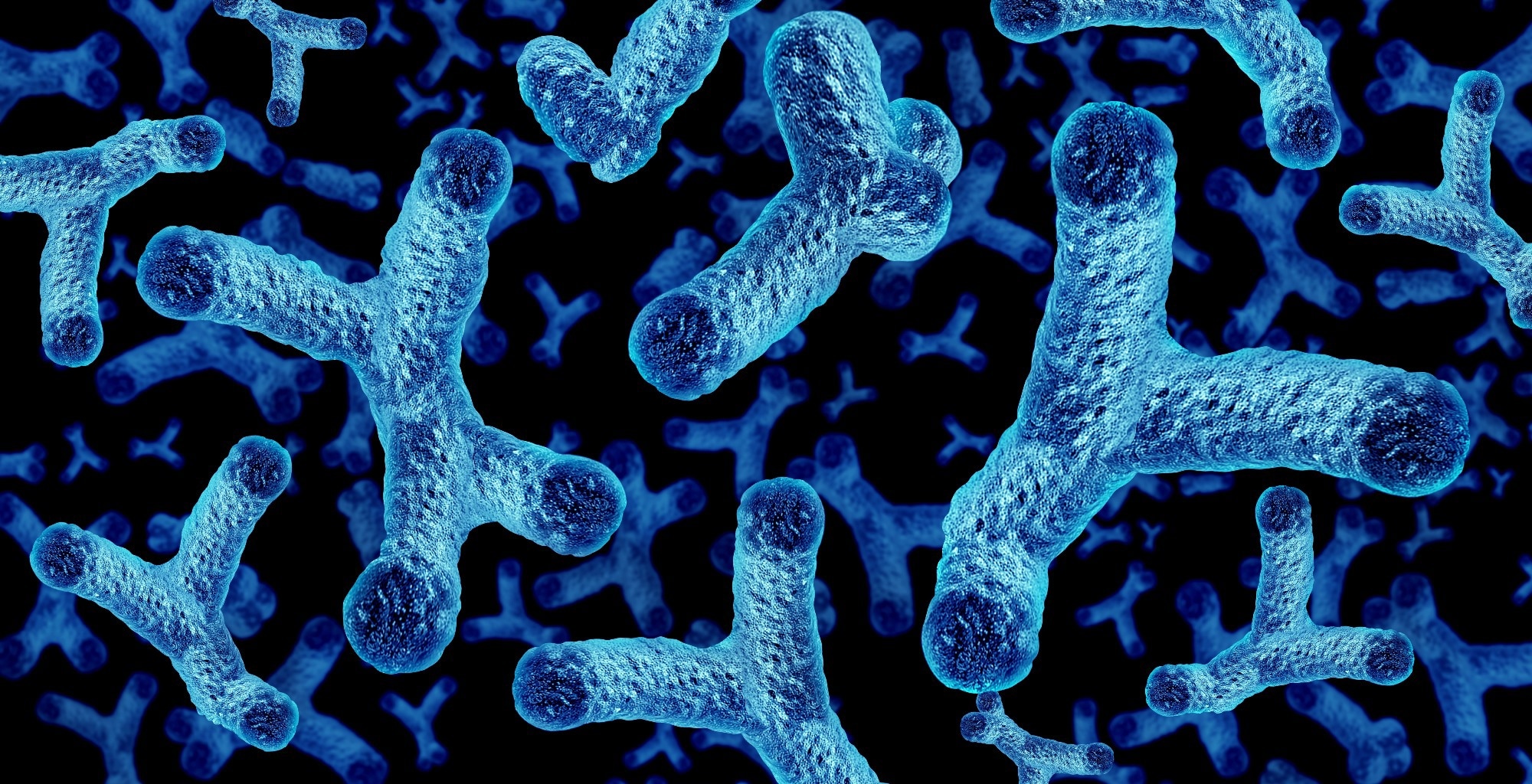 Why one gut microbe is attracting attention in heart failure research