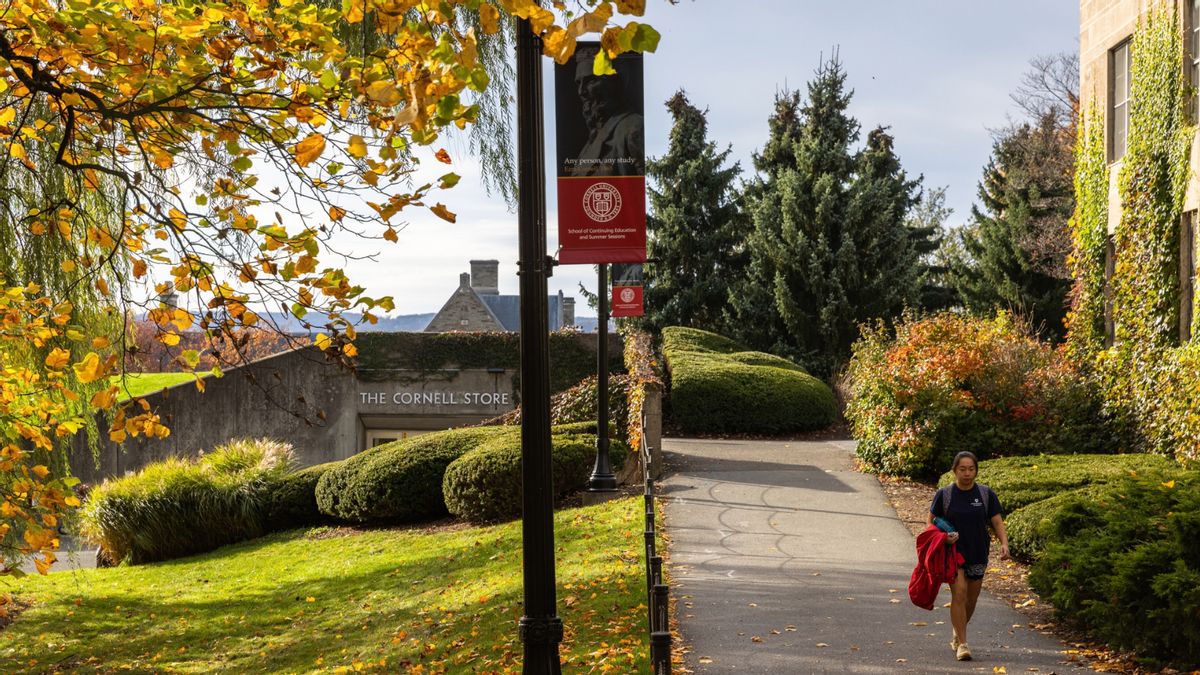 ‘Cornell 7’ gang rape lawsuit: What we know about the allegations so far