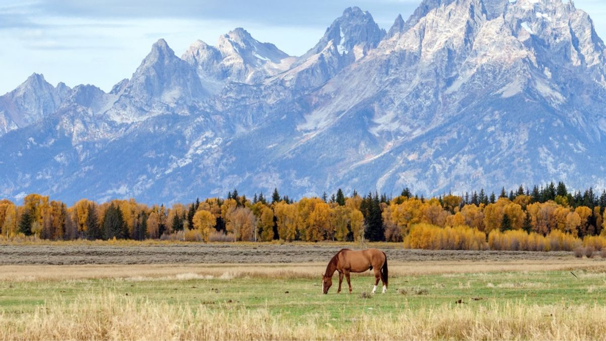 US national parks: 15 rumors we’ve investigated