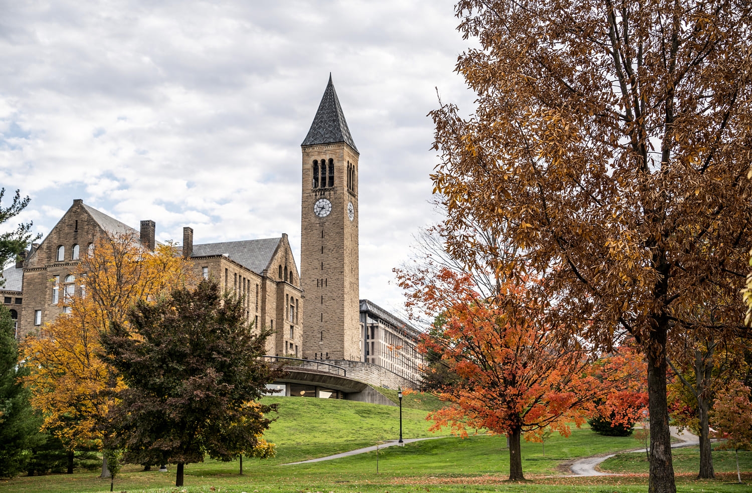 Cornell survey showed increase in reports of nonconsensual sexual contact among female undergrads
