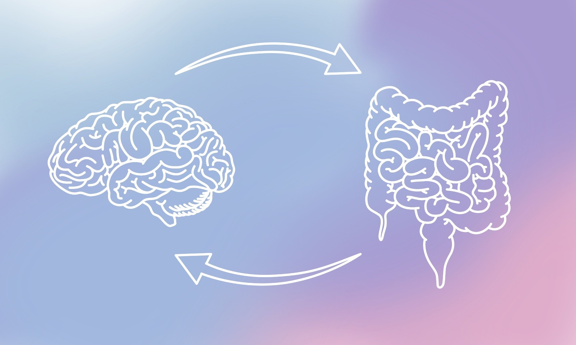 Could the gut be priming the body for a more severe stroke?