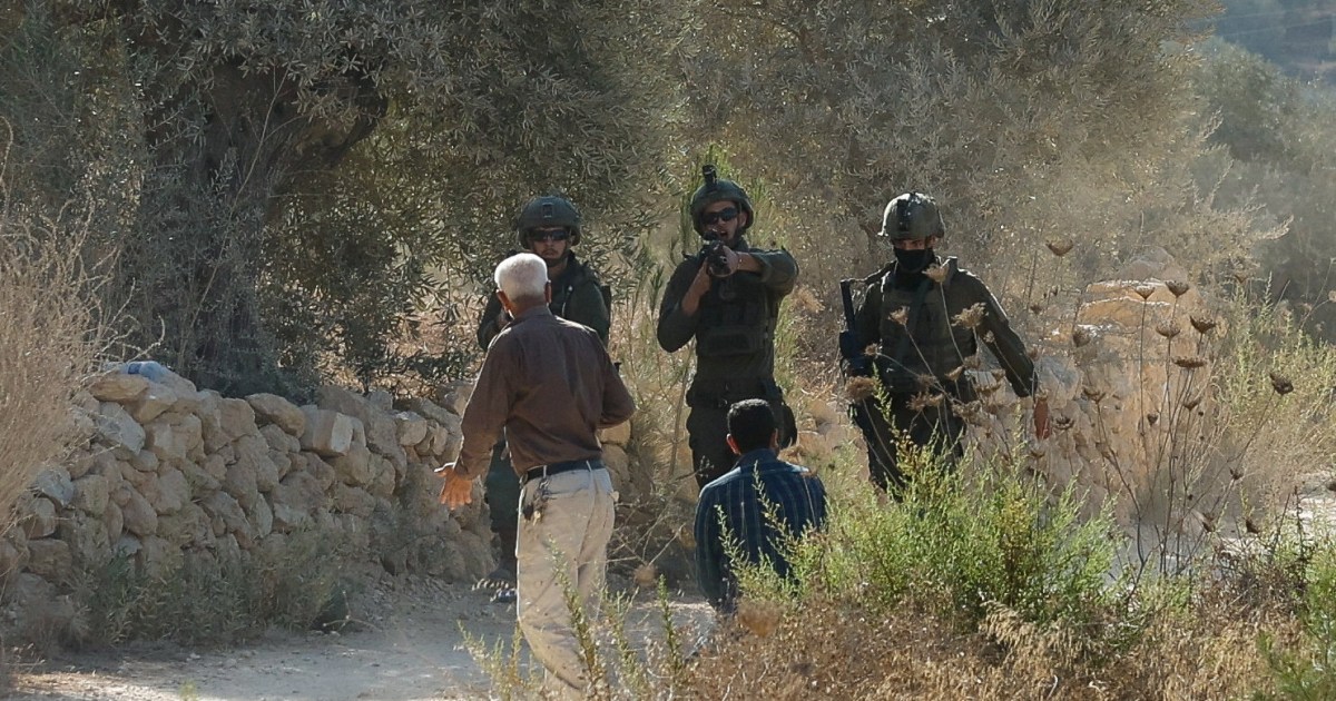 Israeli settlers attack West Bank olive pickers, soldiers assault reporters