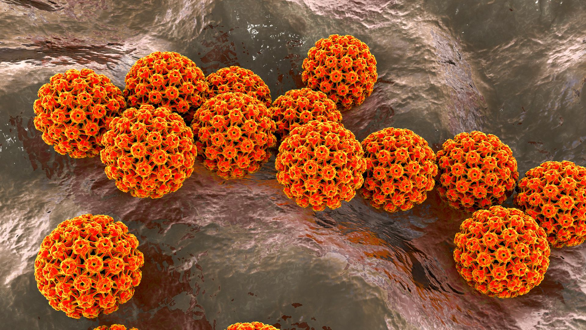 1 in 8 cancer cases are caused by infections, underscoring the importance of vaccines, experts say