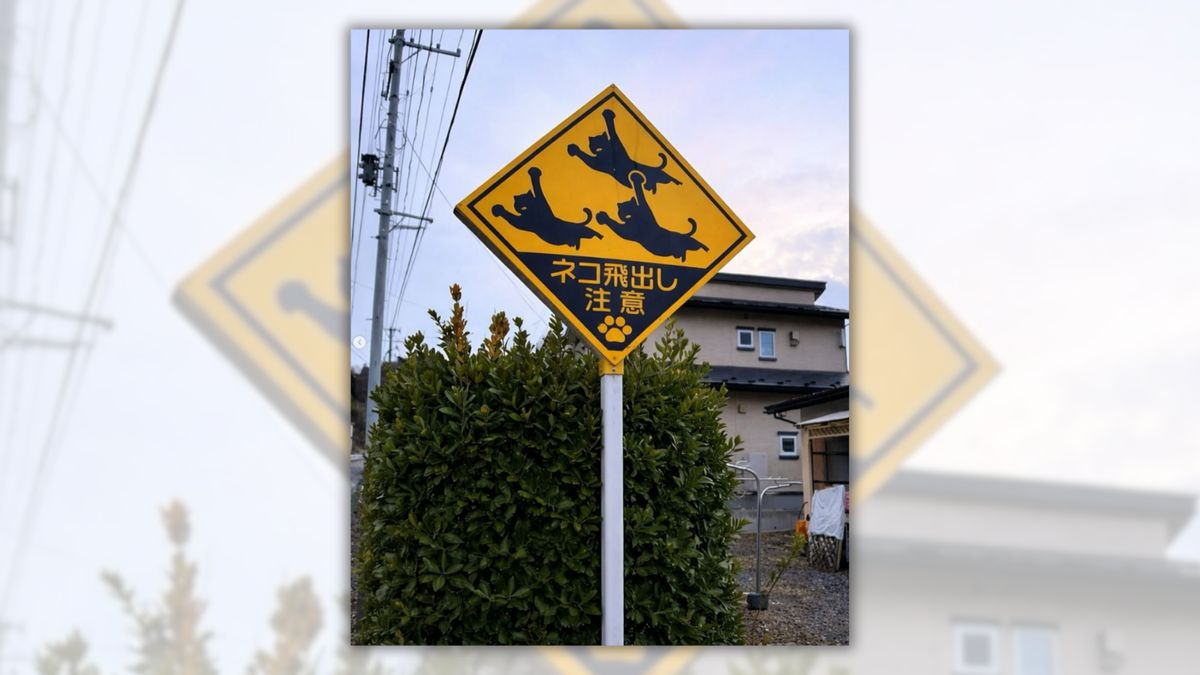Are there road signs in Japan warning drivers that cats may jump out into traffic?