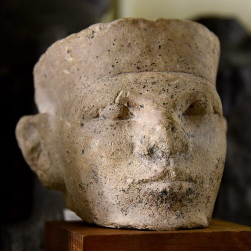 New forensic evidence supports Egyptian “retainer sacrifice”