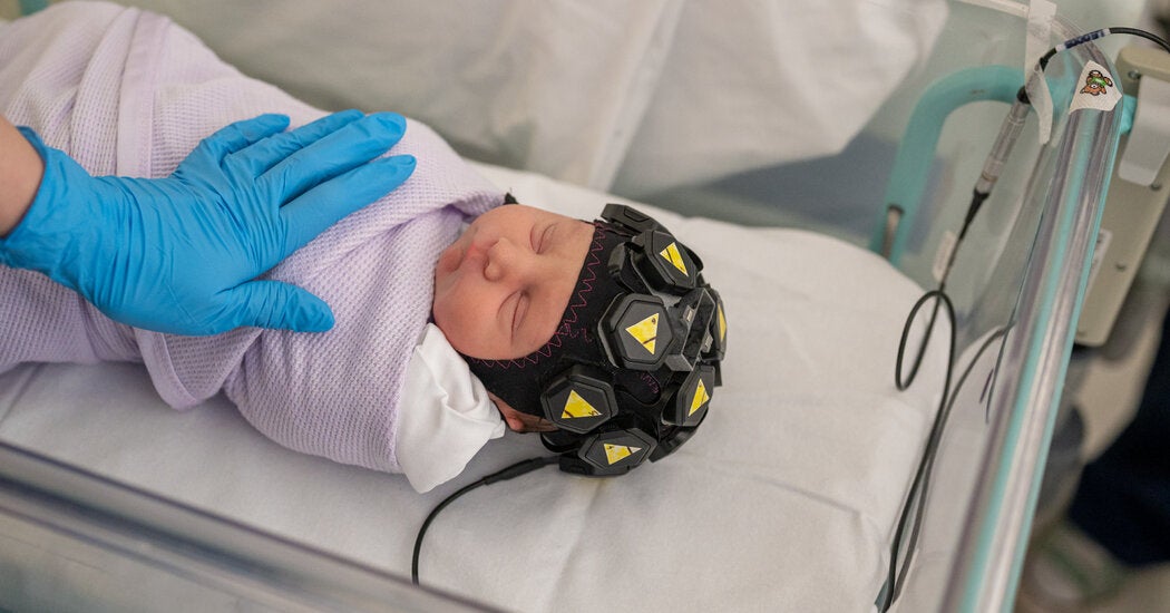 Are Babies Conscious?