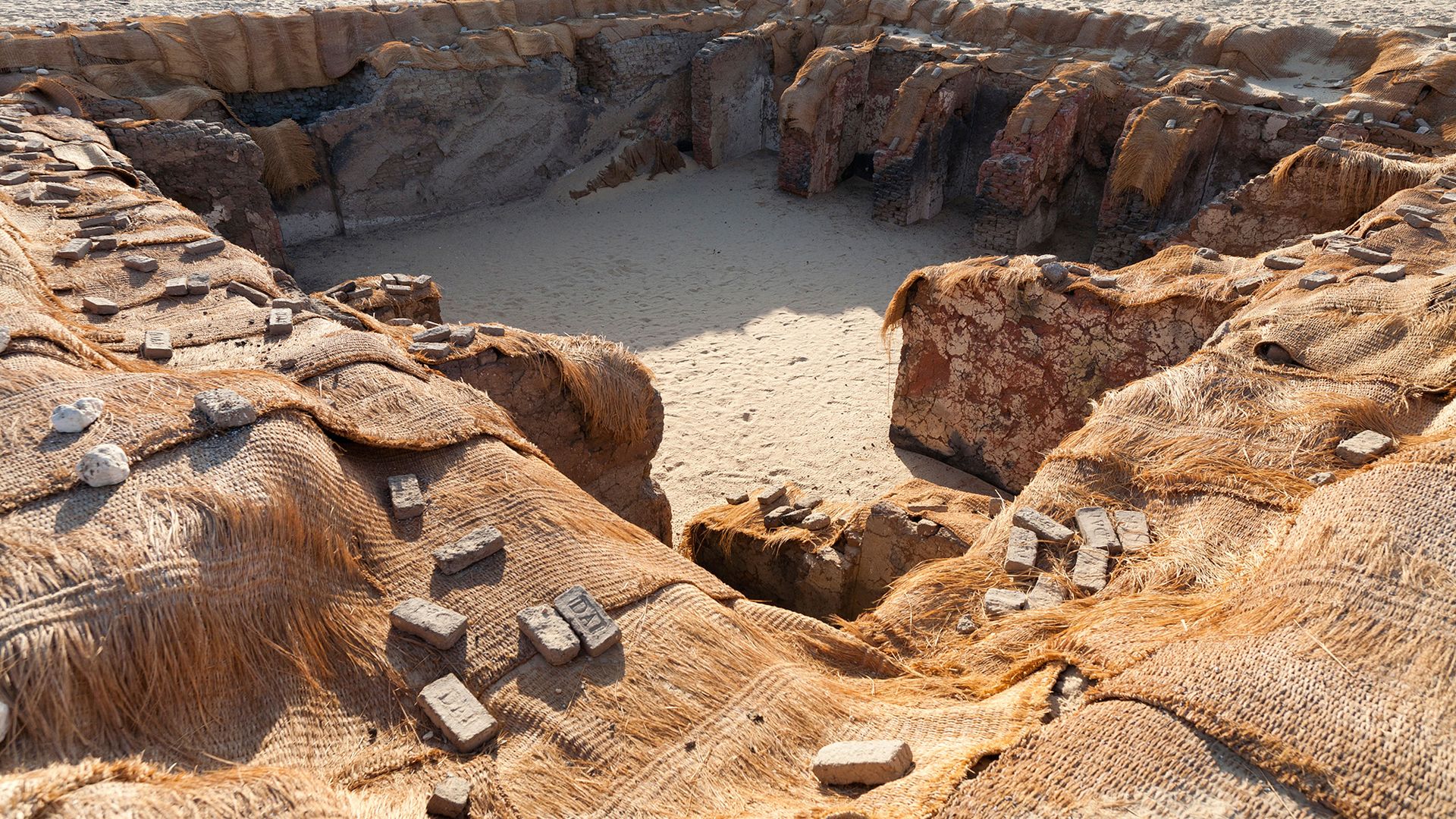 Ancient Egyptians sacrificed pharaohs’ servants so they could continue to serve their king in the afterlife, new study finds