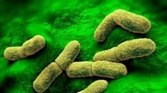 US ‘watching closely’ after plague researcher dies in Russia