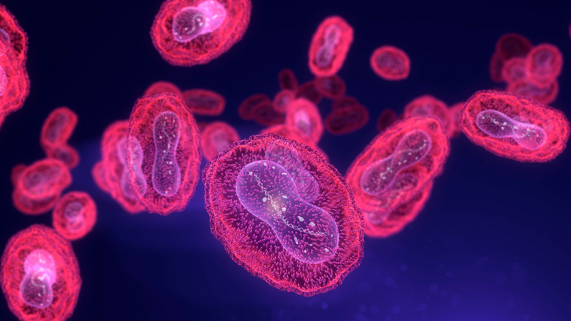 ‘Mpox has not disappeared’: Why the infectious disease is still spreading in the US and may be here to stay