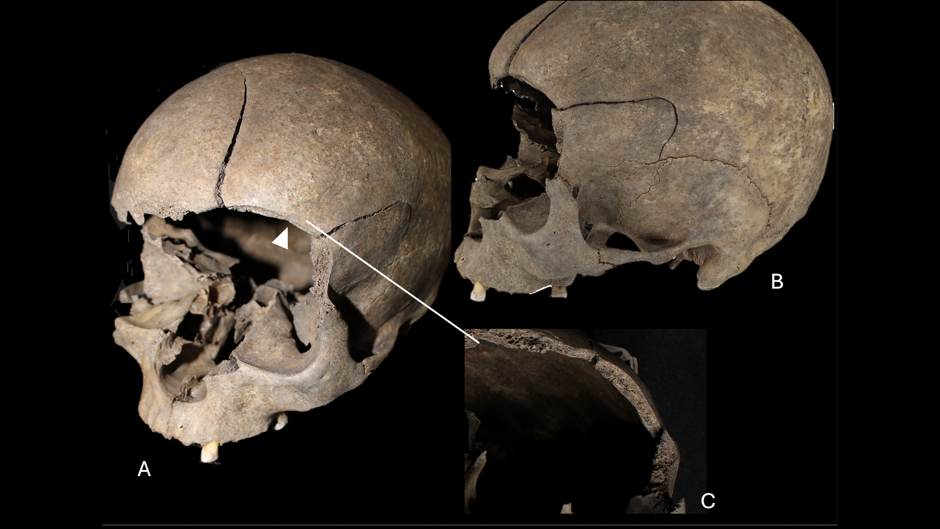 Archaeologists discover a child’s skull built into the floor of a 2,500-year-old Scandinavian house
