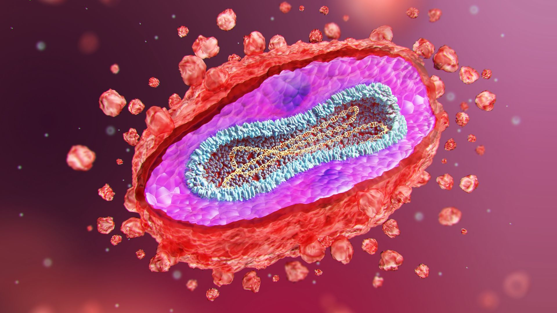 Mpox is still spreading in the US — here’s what to know about vaccines, symptoms and treatment