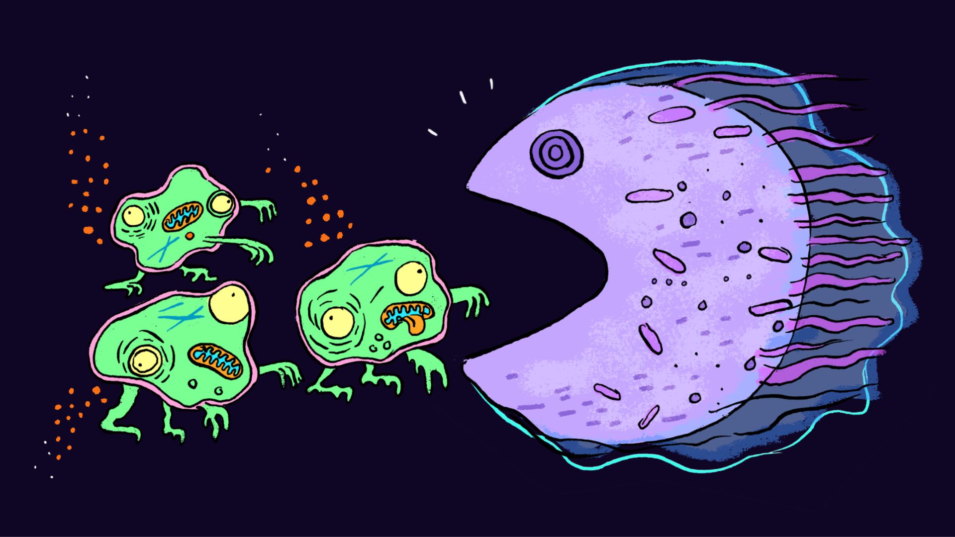 ‘Zombie cells’ may drive aging, and scientists are devising new ways to get rid of them