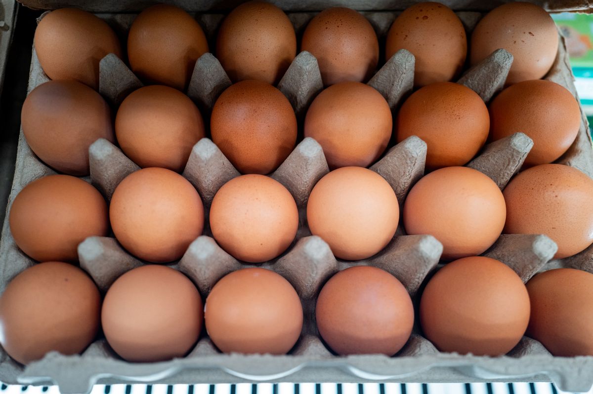 Are lab-grown eggs being sold in US stores? Here are the facts