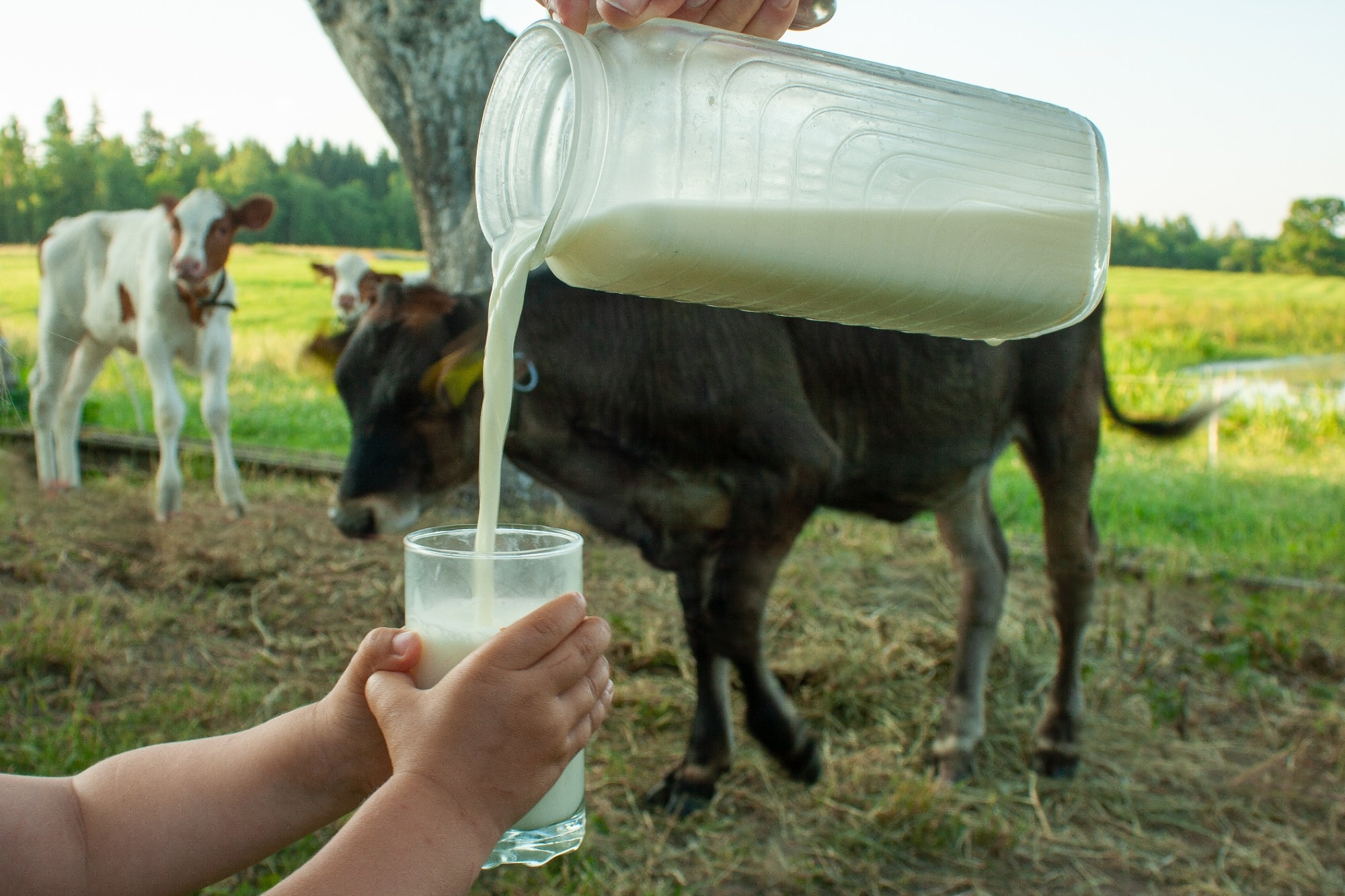 Think raw milk is better for you? Pediatricians have a warning
