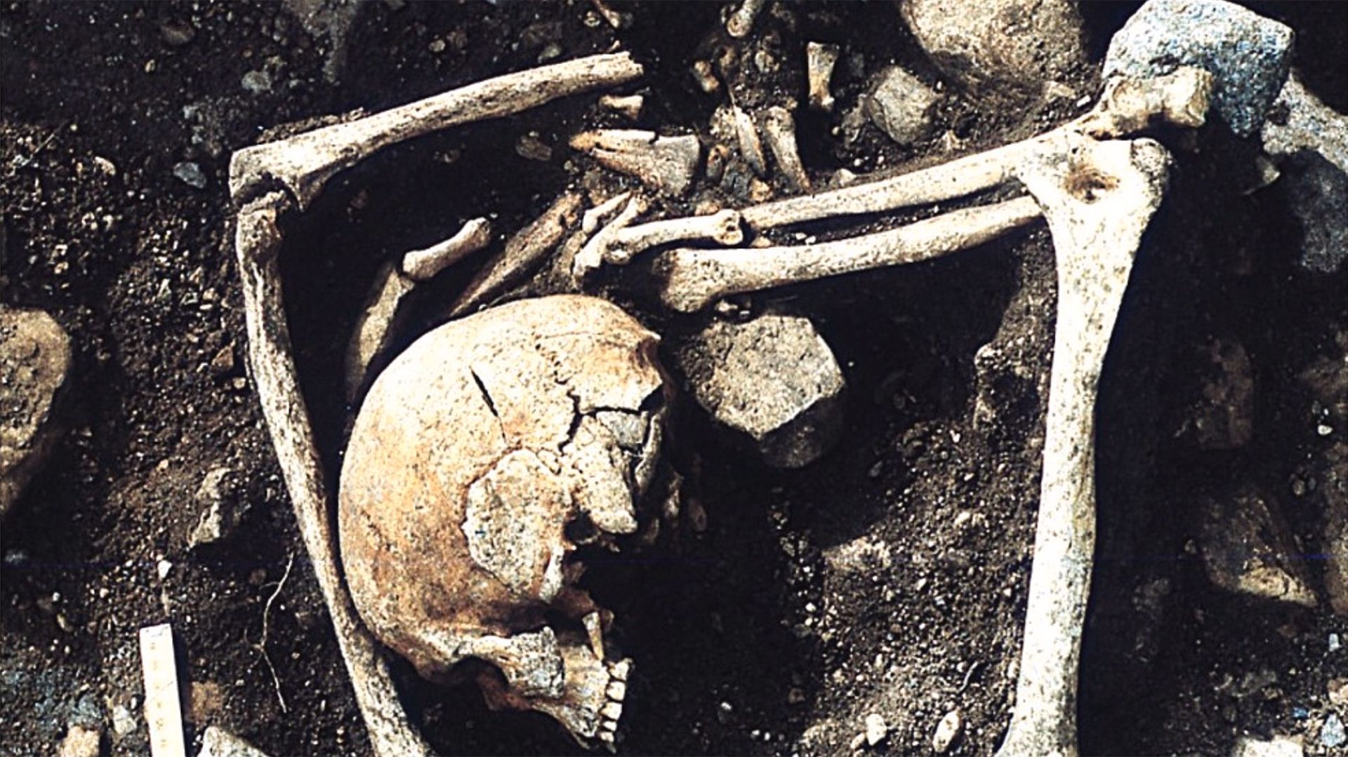 1,200-year-old burial in Latvia holds people who died of ‘sharp force’ injuries, possibly from a Viking raid