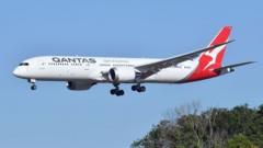 Qantas flight grounded after bedbug outbreak