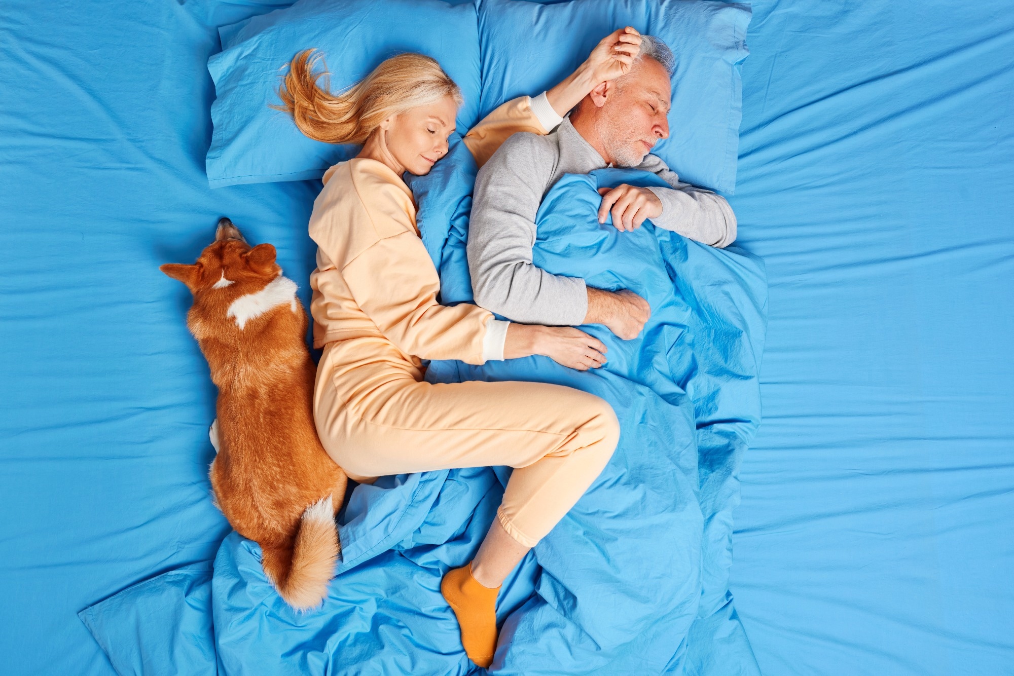 Who moves first at night, you or your dog?