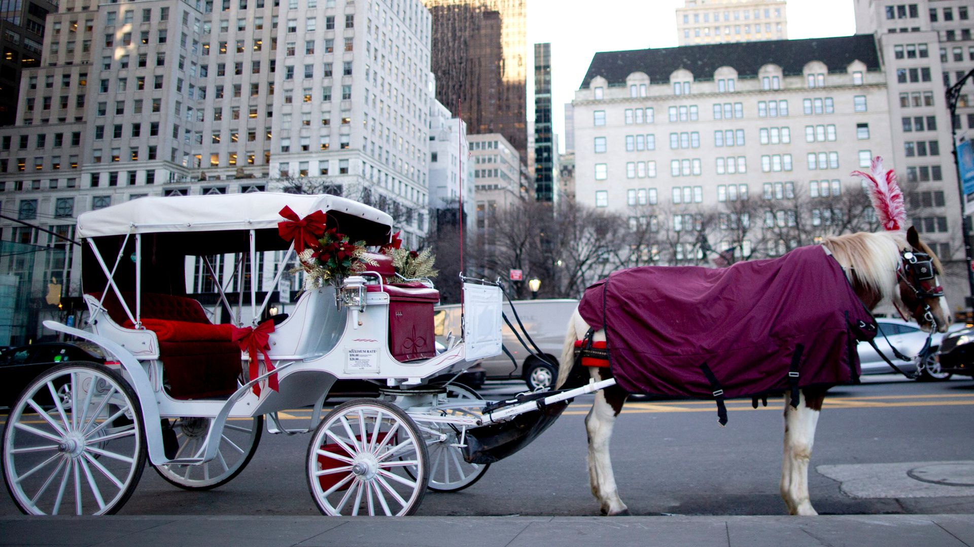 New York City to end horse-drawn carriage rides after teenager’s death