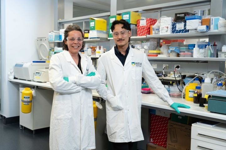Invisible no more: New treatment avenue unlocked for deadliest lung cancer