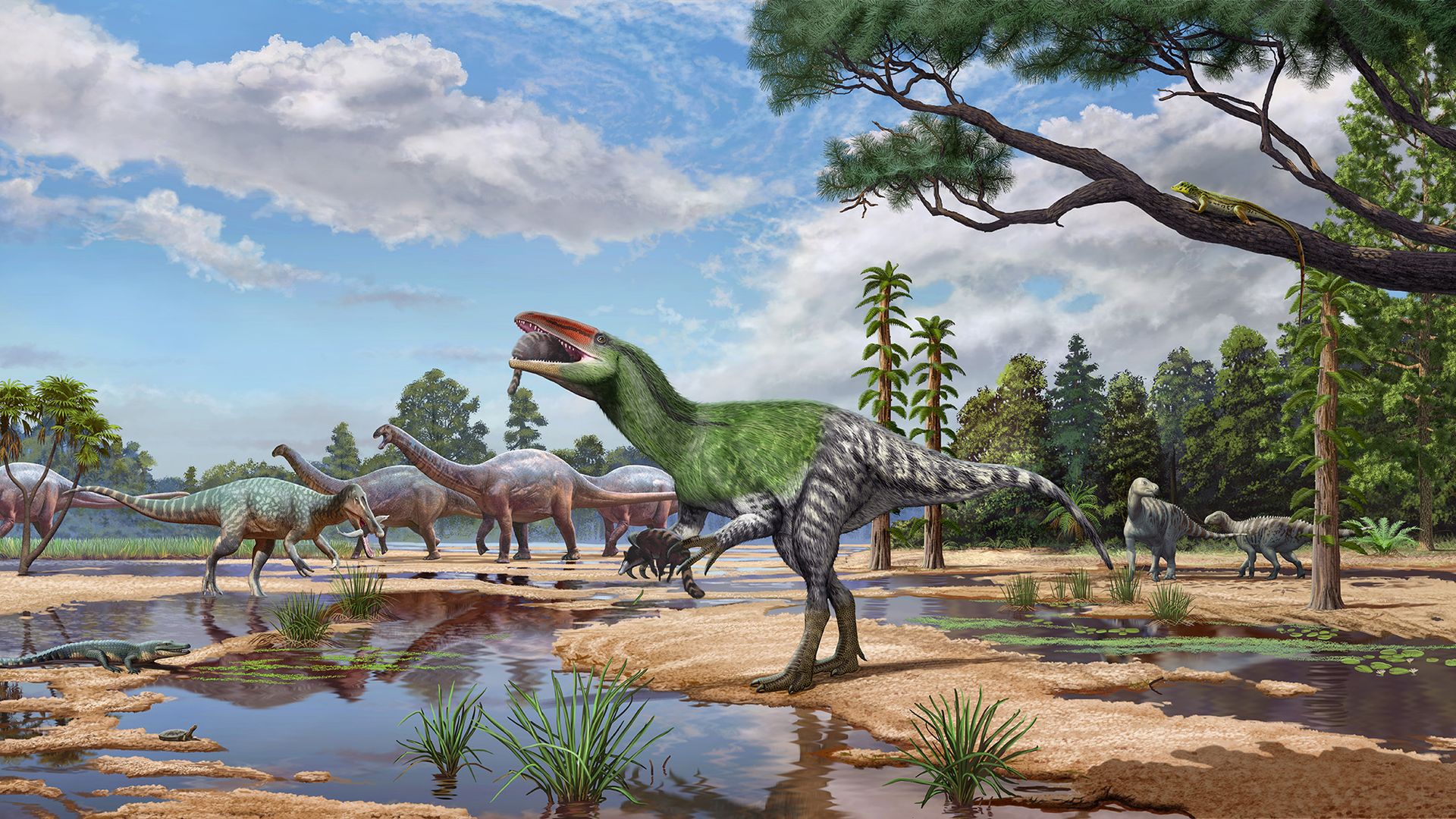 Fossil of ‘unconquered female warrior’ dinosaur with long claws found in UK museum drawer after 100 years