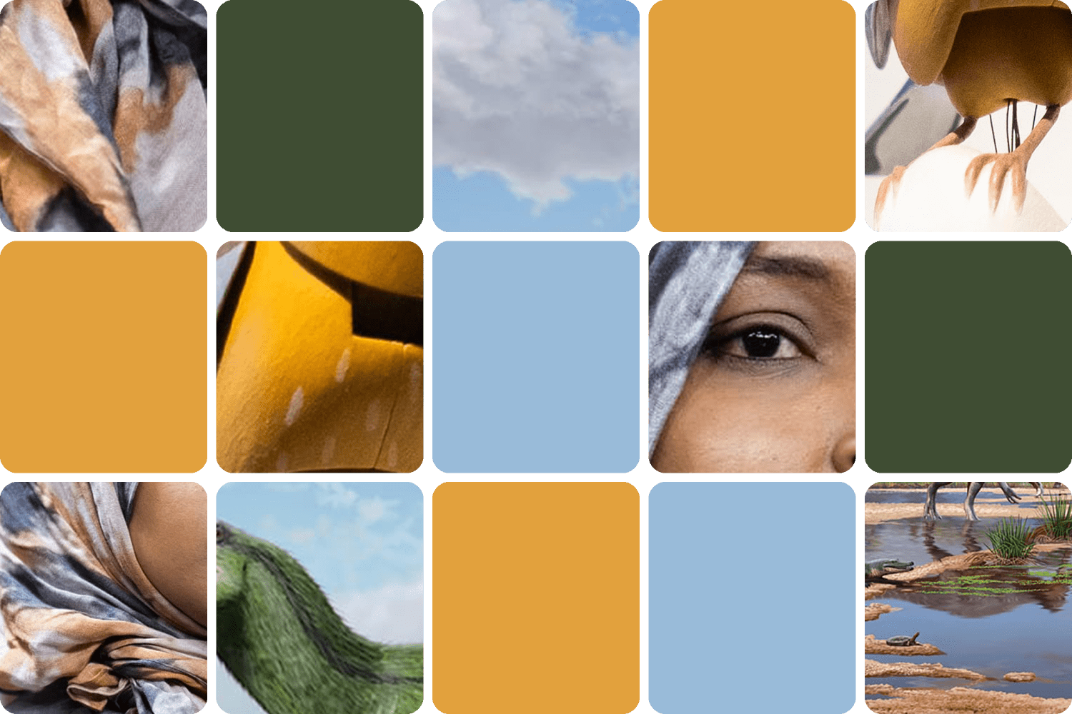 The pope goes under the knife, and a new dinosaur species is discovered: The news quiz