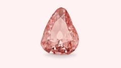 Rare pink diamond goes on display in France 100 years after amateur heist