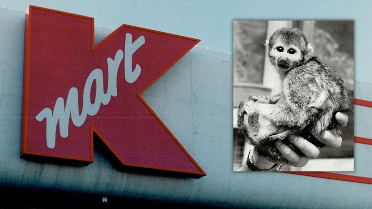 Kmart used to sell pet monkeys in the 1960s. It wasn’t alone