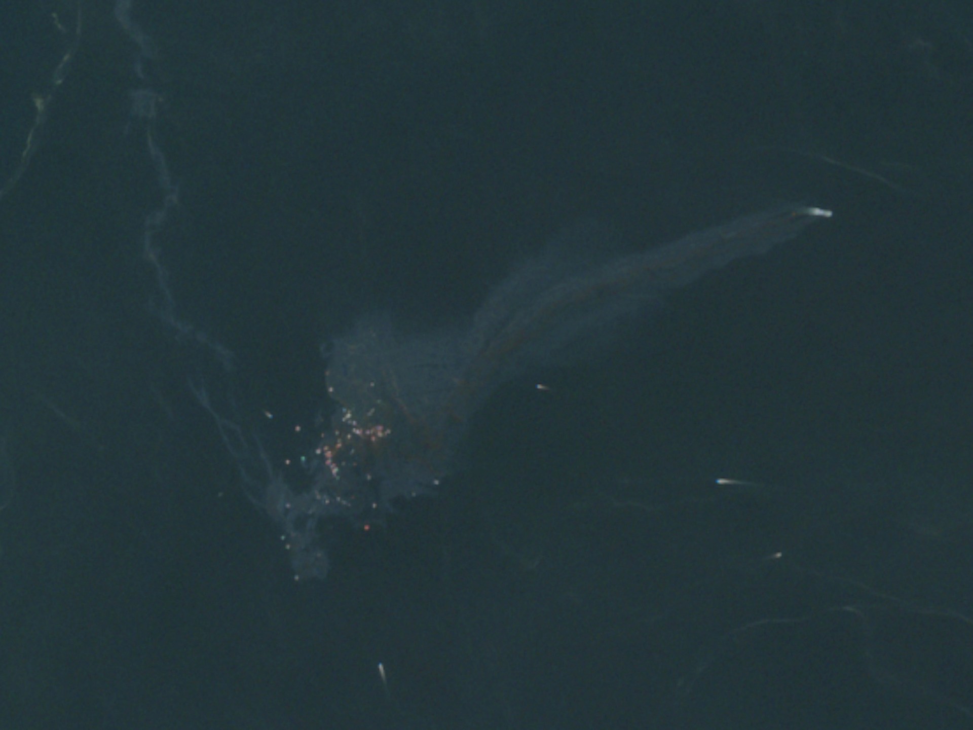 Iran says two tankers catch fire after hitting mines in Strait of Hormuz