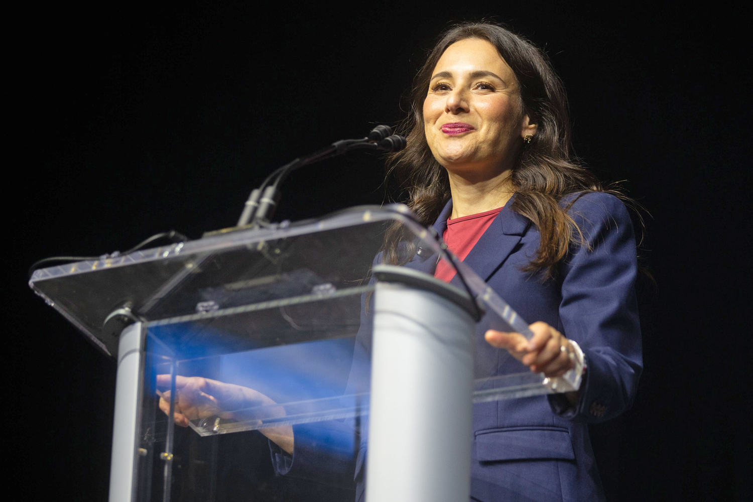 Texas Democratic candidate for governor sues to review emails between Elon Musk and Greg Abbott