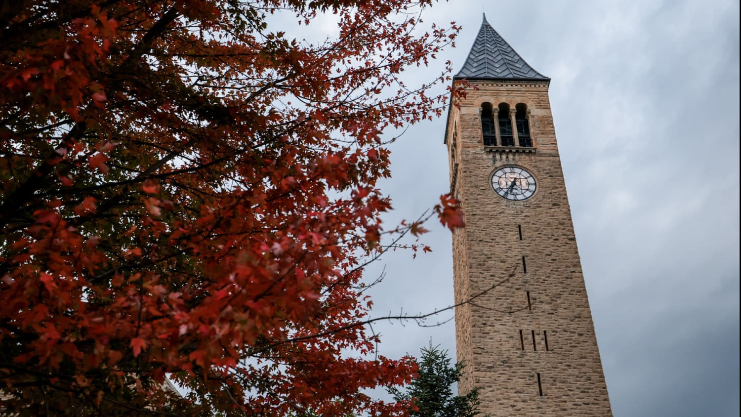 Former Cornell student alleging sexual assault addressed faculty senate in letter