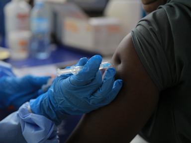 Nigeria confirms Ebola case in Abuja as woman who arrived from Uganda tests positive