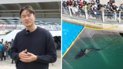 Third attempt to save stranded shark in South Korea