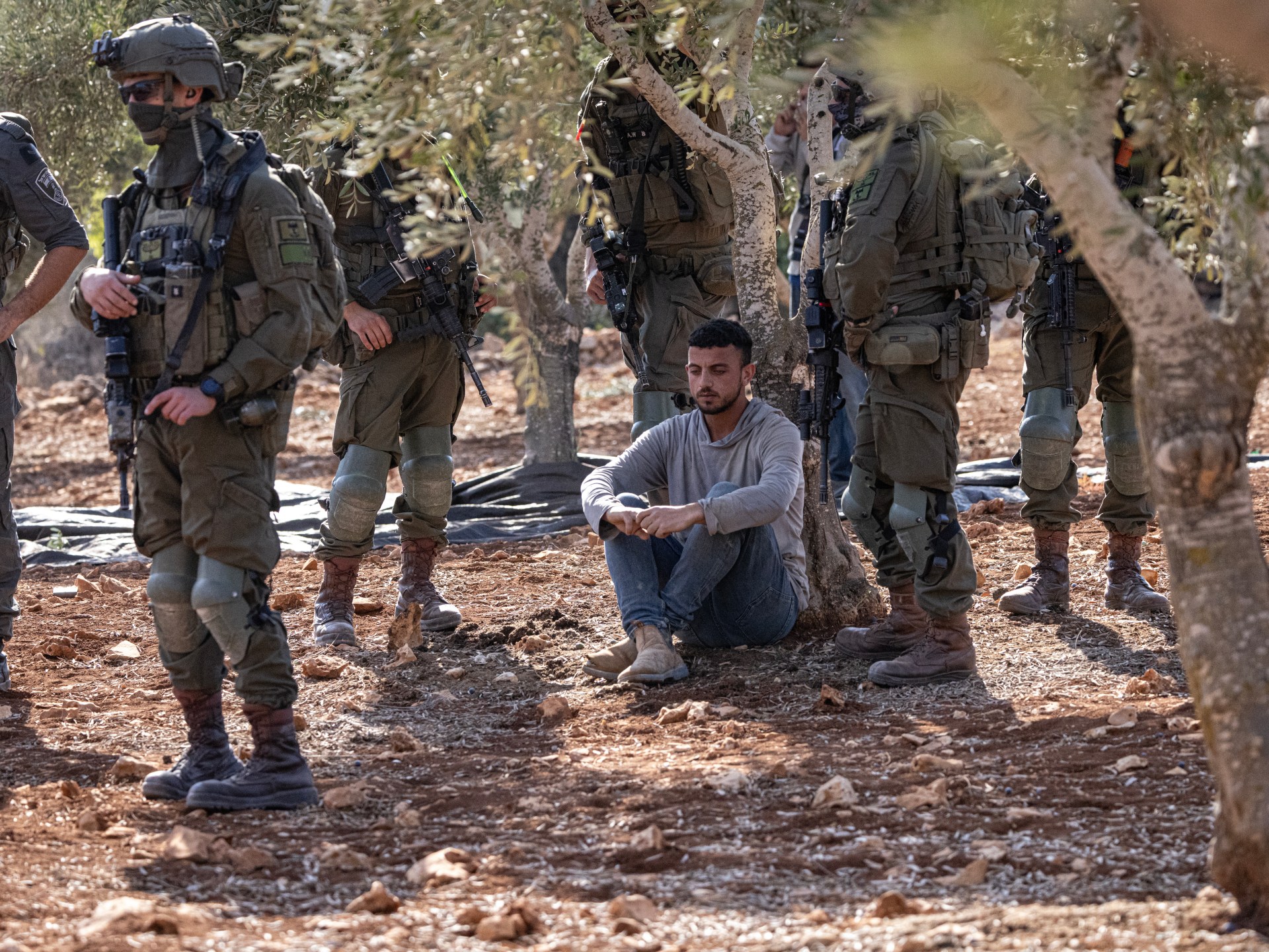 Israel arrests 36 Palestinians in the West Bank, attacks on farmers ramp up