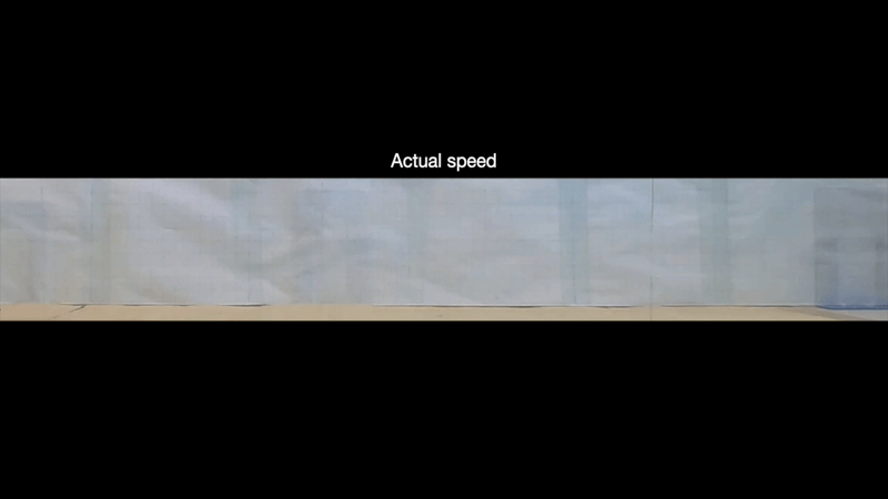 Watch bizarre snake ‘cartwheel’ away from danger at more than 12 feet per second