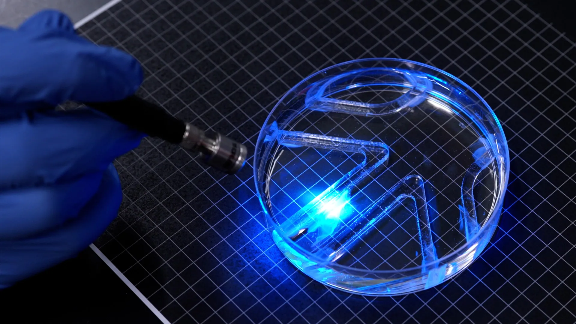 mit-scientists-build-a-tiny-robot-that-swims-using-living-muscle-cells