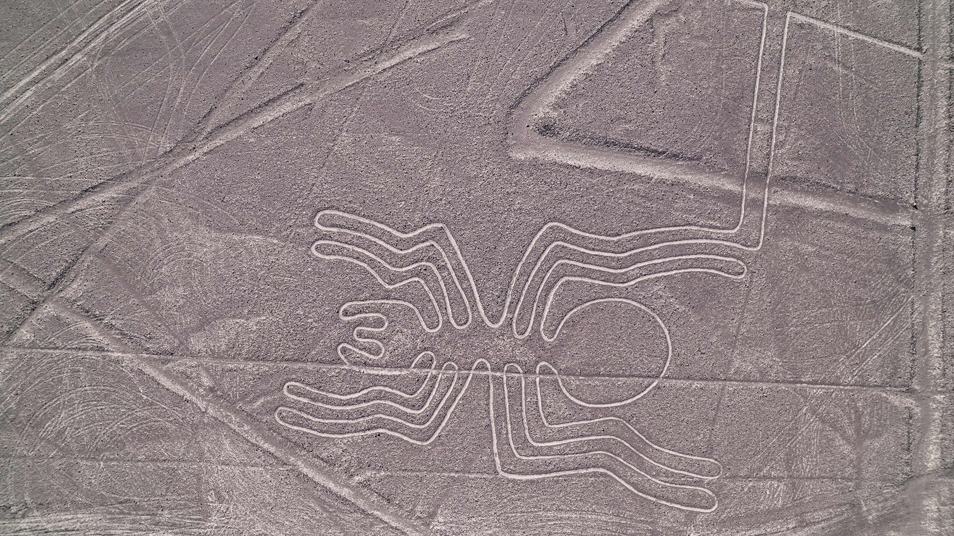 Why were the Nazca Lines built?