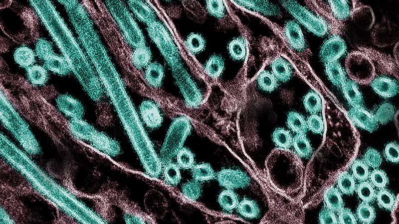 Claude helped plan risky bird flu research. What did the AI add?