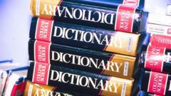 ‘Maxxing’ selected as Dictionary.com word of the year