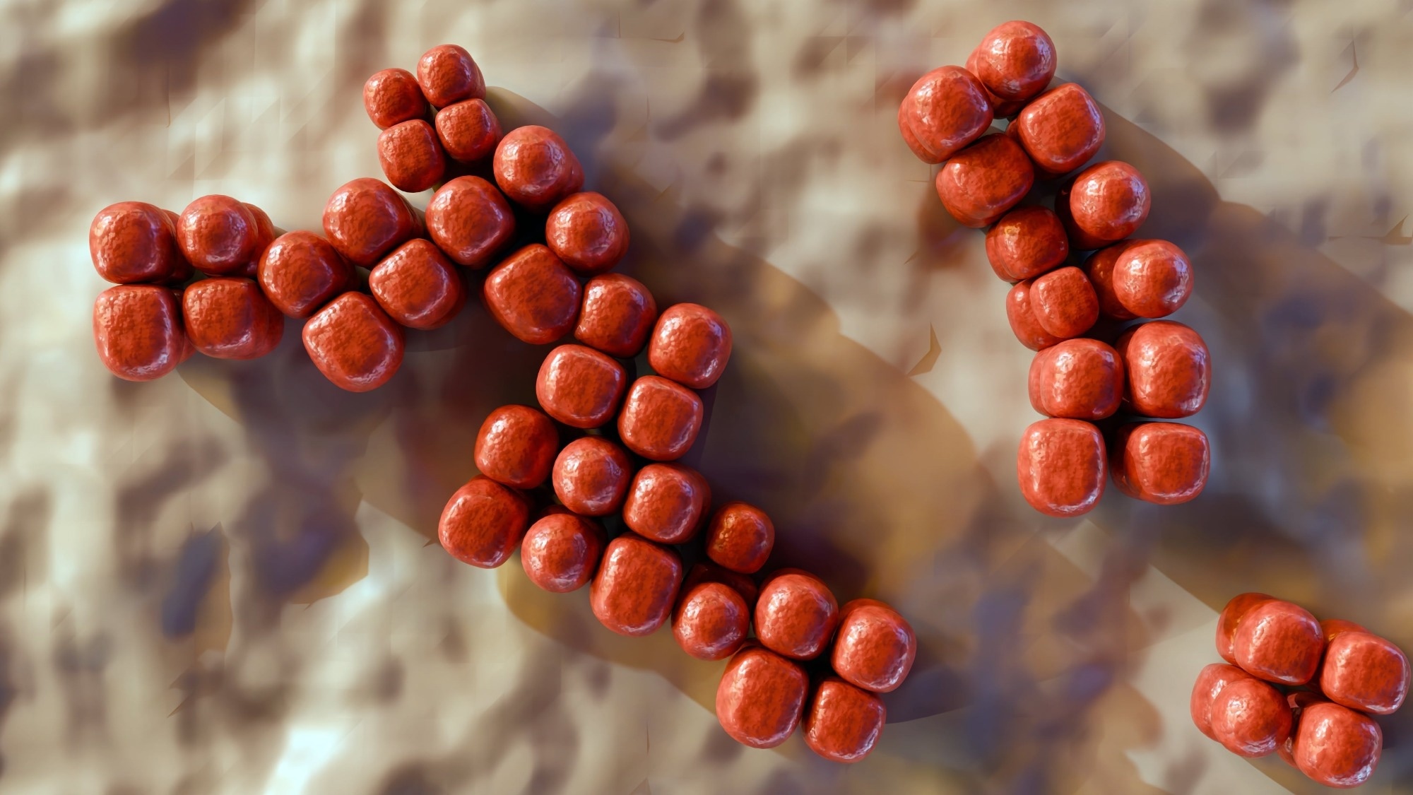 Semaglutide changes gut bacteria in rats beyond what eating less explains