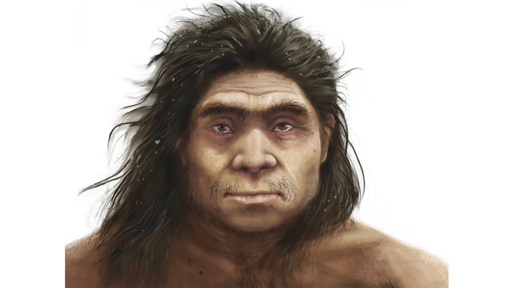 Our extinct cousins the Denisovans had a ‘distinctive’ appearance, new analysis reveals