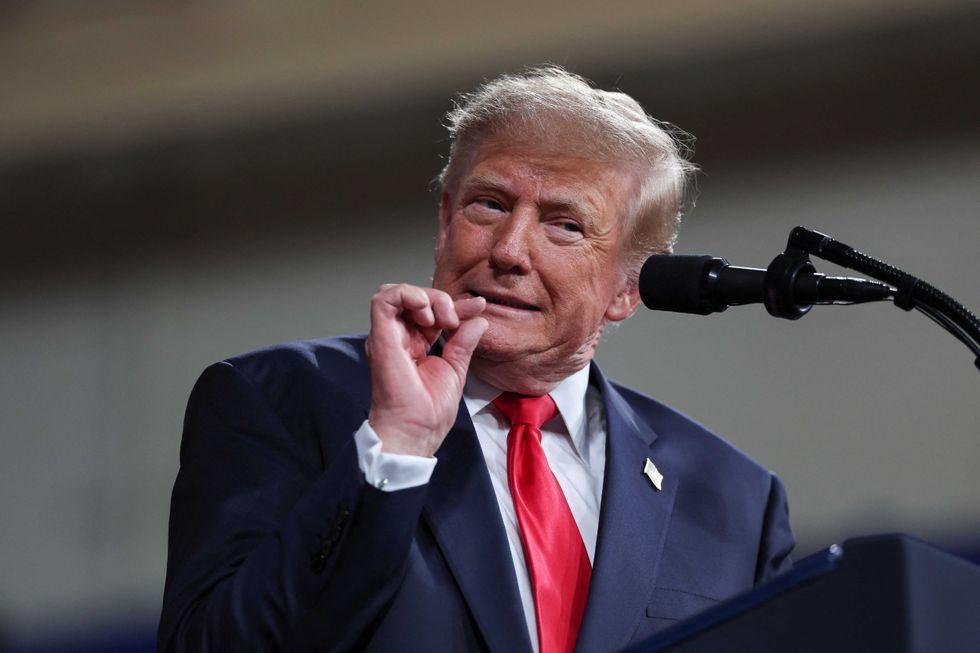 Trump’s voter fraud crackdown snags Republicans — and some who voted for him: report