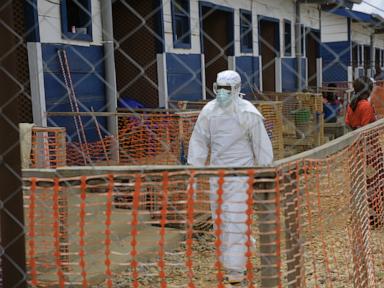 Experts warn of wider spread as Ebola outbreak reaches plateau