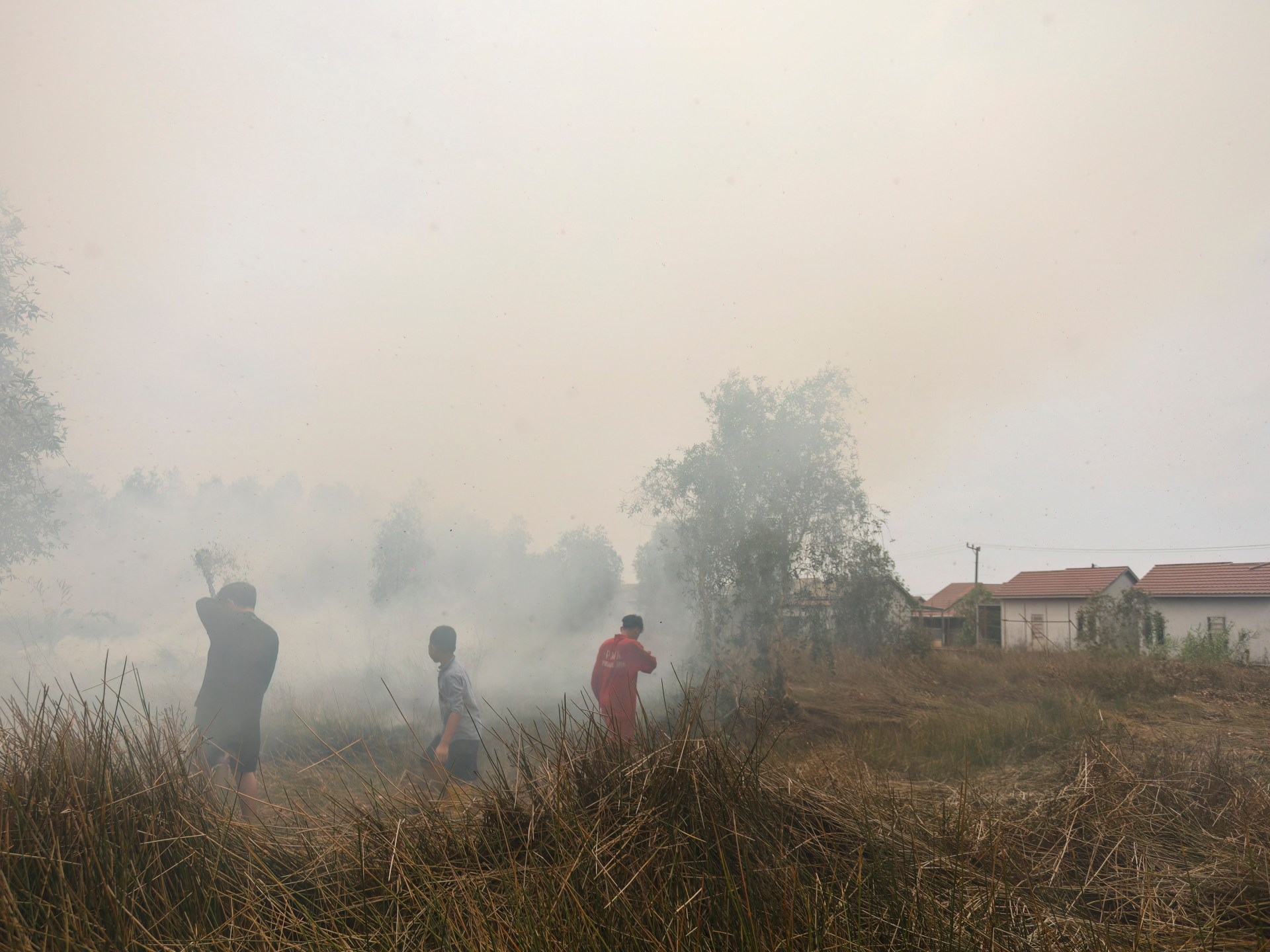 Smoke from wildfires killed 3,500 people in Indonesia in September: Report