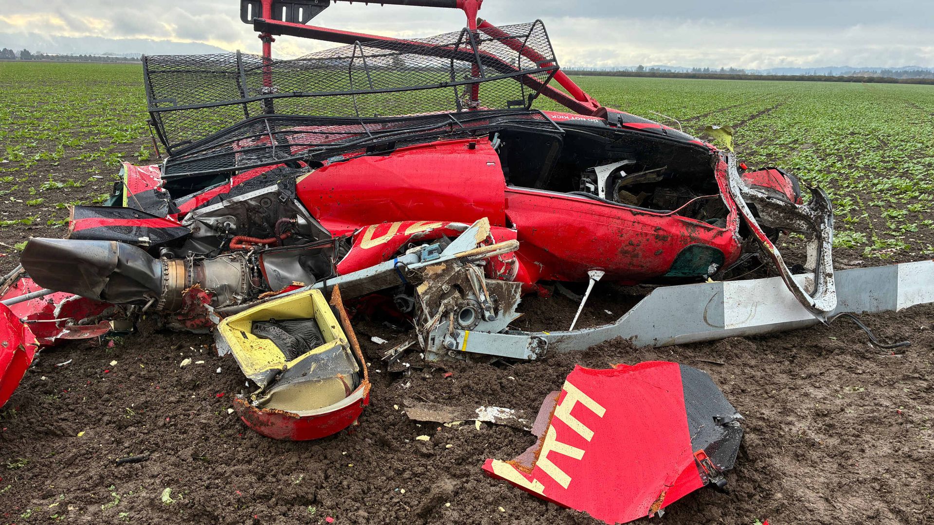 British student pilot among three killed in mid-air helicopter crash in US